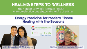 Energy Medicine for Modern Times:  Healing with the Seasons episode artwork